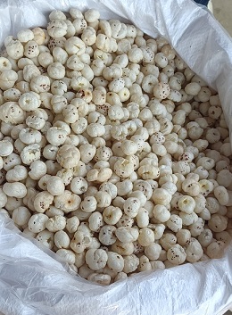 Organic Makhana
